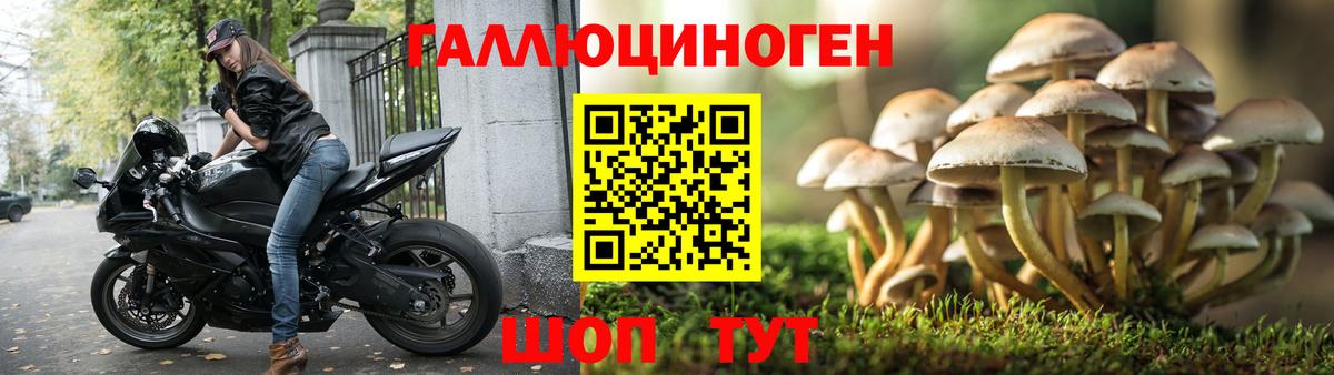 Псилоцибиновые грибы мицелий Мариинск
