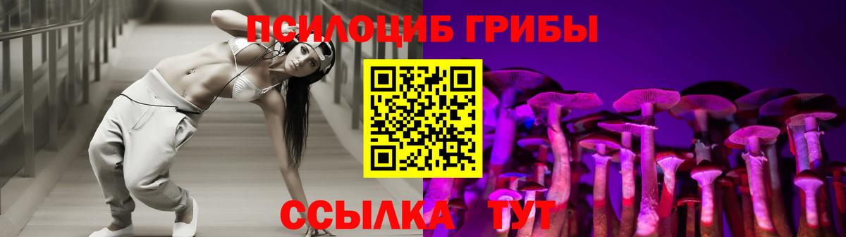 цена   Мариинск  Галлюциногенные грибы мухоморы 